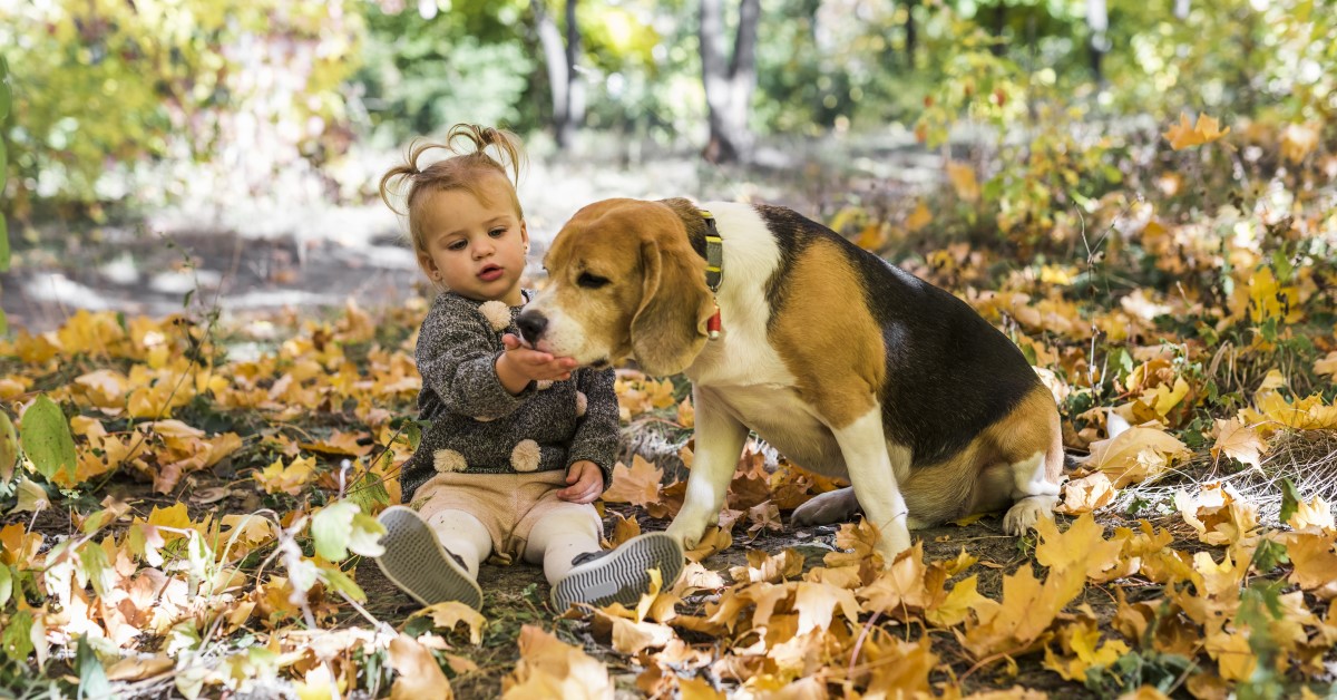 7 of the Best Dog Breeds for Kids